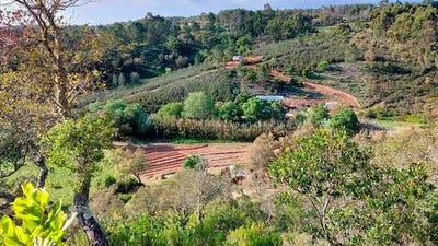 /international/pt/aljezur-faro-310101390888/?lang=zh-tw