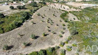/international/pt/santarem-santarem-310103092219/