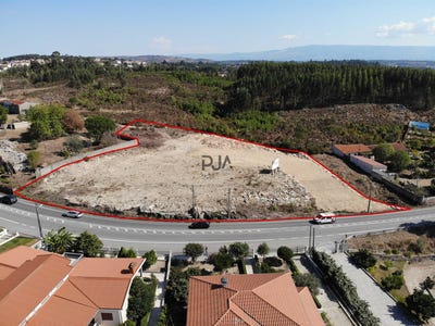 /international/pt/mangualde-viseu-310108261843/