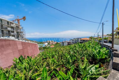 /international/pt/camara-de-lobos-madeira-310107500381/