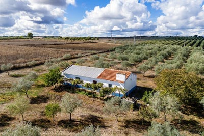 /international/pt/w5rj-23-casa-branca-portugal-casa-branca-santarem-310103687155/