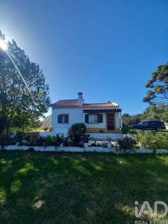 /international/pt/beja-beja-310108081447/