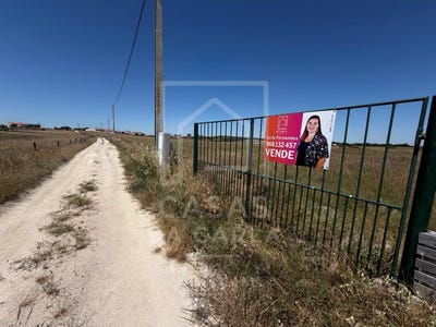 /international/pt/pias-santarem-310108209468/