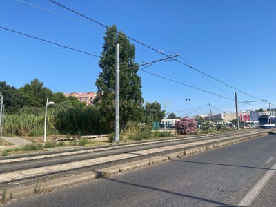 /international/pt/quinta-de-santo-antonio-laranjeiro-e-feijo-setubal-municipality-310105759376/
