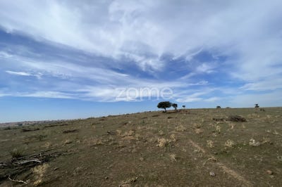 /international/pt/reguengos-de-monsaraz-evora-120087695857/