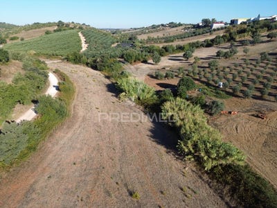 /international/pt/achete-azoia-de-baixo-e-povoa-de-santarem-santarem-santarem-310103452150/
