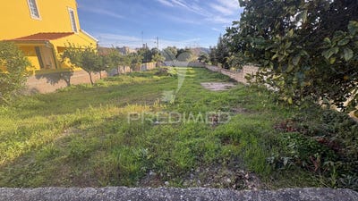 /international/pt/abrantes-sao-vicente-e-sao-joao-e-alferrarede-abrantes-santarem-310104003243/
