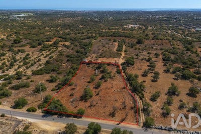 /international/pt/faro-faro-310102458000/