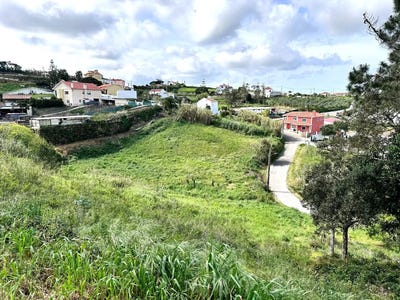 /international/pt/santo-isidoro-lisbon-310098218479/