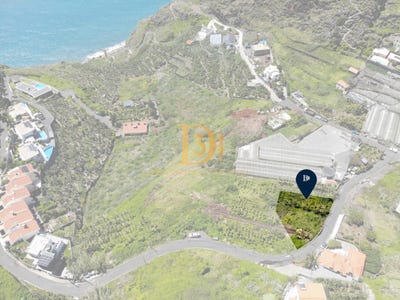 /international/pt/ribeira-brava-madeira-310096564038/