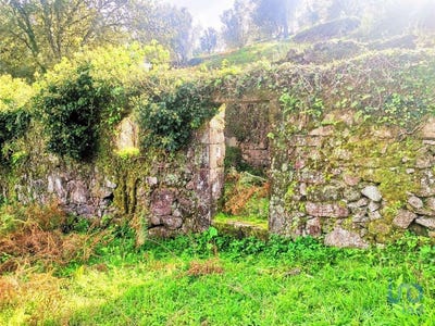 /international/pt/viana-do-castelo-viana-do-castelo-310096967281/