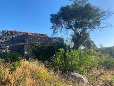 /international/pt/loule-faro-310108283274/