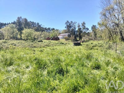 /international/pt/santarem-santarem-310107235473/