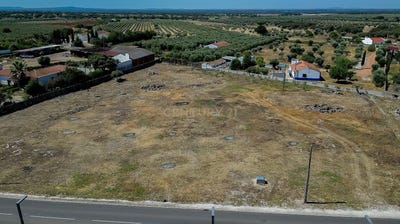 /international/pt/cano-portalegre-120092607866/