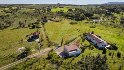 /international/pt/beja-beja-310107177206/