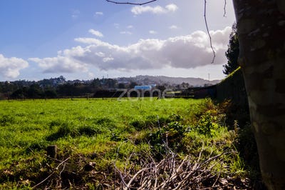 /international/pt/esposende-braga-120082017152/