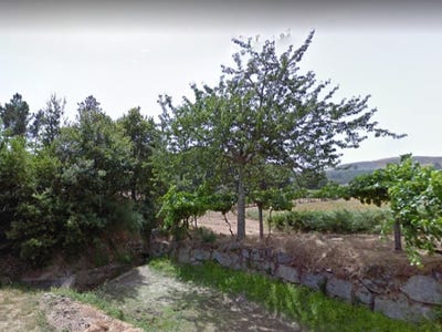/international/pt/gesta-porto-310102645292/
