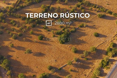 /international/pt/457x-8m-moncarapacho-portugal-moncarapacho-faro-310104042002/