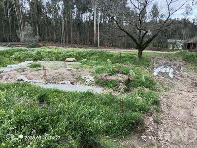 /international/pt/viseu-viseu-310108181189/