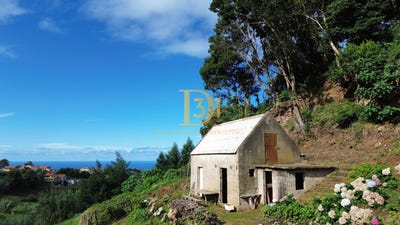 /international/pt/santana-madeira-310097260013/