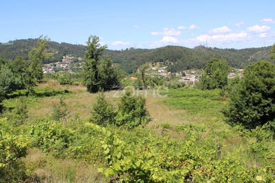 /international/pt/guimaraes-braga-310095336130/