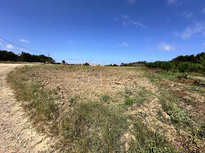 /international/pt/peniche-leiria-310103096436/