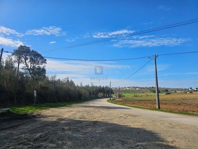 /international/pt/reguengo-grande-lisbon-310097523169/