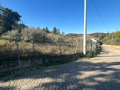/international/pt/sao-pedro-velho-braganca-310100672244/