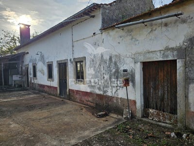/international/pt/areias-e-pias-ferreira-do-zezere-santarem-310100105624/