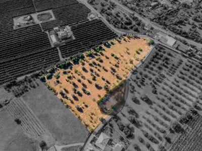 /international/pt/alvaledes-algoz-algoz-faro-310105230300/
