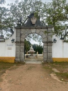/international/pt/estrada-de-barbacena-sao-bras-e-sao-lourenco-portalegre-310102240708/