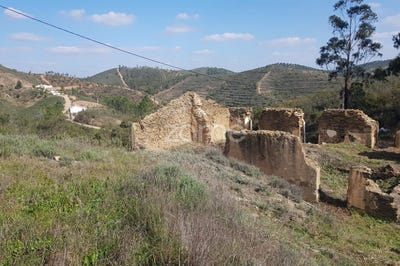 /international/pt/silves-faro-120082015120/