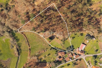 /international/pt/arcos-de-valdevez-viana-do-castelo-120088767304/