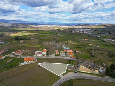 /international/pt/nogueira-viseu-310100663875/?lang=en