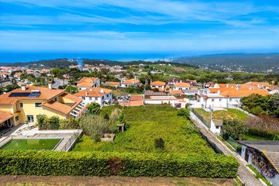 /international/pt/colares-lisbon-310107499711/