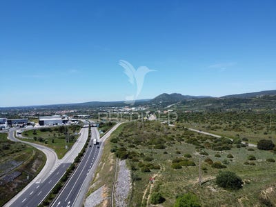 /international/pt/zibreira-torres-novas-santarem-310104511755/