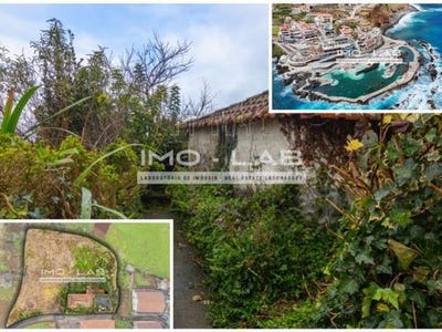 /international/pt/santa-porto-moniz-madeira-310105104332/