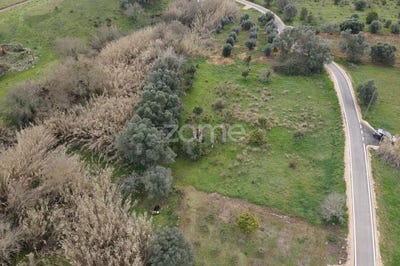 /international/pt/silves-faro-310097768792/