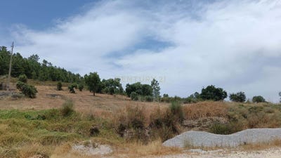 /international/pt/r-do-chafariz-1-6000-630-portugal-salgueiro-do-campo-castelo-branco-310105229422/