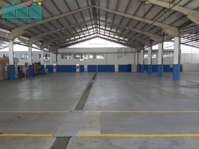 /international/pt/travasso-e-ois-da-ribeira-aveiro-district-310107641331/