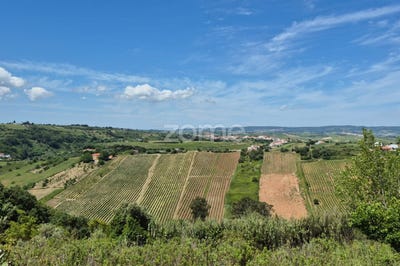 /international/pt/alenquer-lisbon-310098314703/?lang=zh-tw