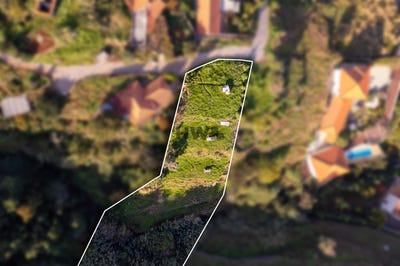 /international/pt/gaula-madeira-310103714404/