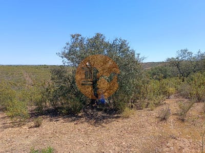 /international/pt/odeleite-faro-310105016180/