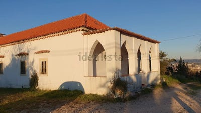 /international/pt/rua-casal-do-laparo-tomar-sao-joao-baptista-e-santa-maria-dos-oliv-setubal-municipality-310099591225/