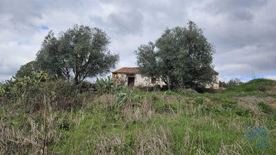 /international/pt/beja-beja-310097540601/?lang=zh-tw