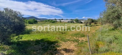 /international/pt/faro-faro-310107216355/