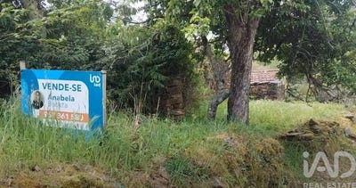 /international/pt/porto-braga-310098111450/