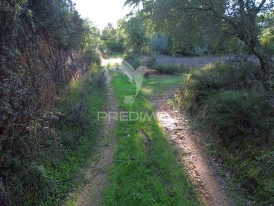 /international/pt/arneiro-das-milharicas-santarem-santarem-310095541206/
