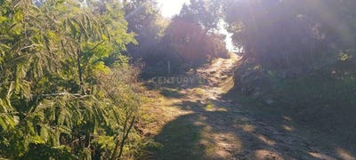 /international/pt/caminho-das-uchas-santa-marinha-do-zezere-porto-310097186700/