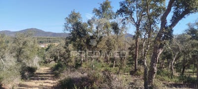 /international/pt/sao-francisco-da-serra-santiago-do-cacem-setubal-municipality-120090343179/